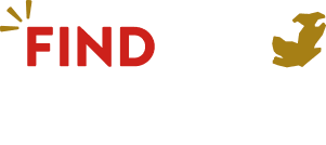 FIND THE TOKAI | 東海エリアの魅力発見メディア！